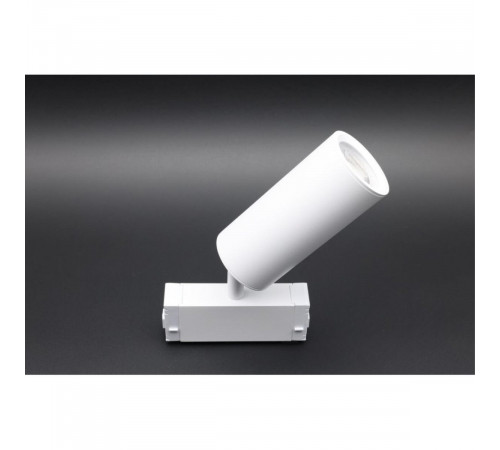 Трековый магнитный светильник Aployt Magnetic track 220 APL.0209.11.01