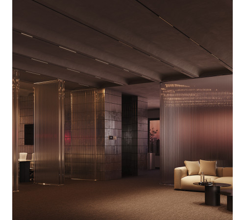 Трековый магнитный светильник Maytoni Technical Basis Exility X TR240-2-6W3K-B