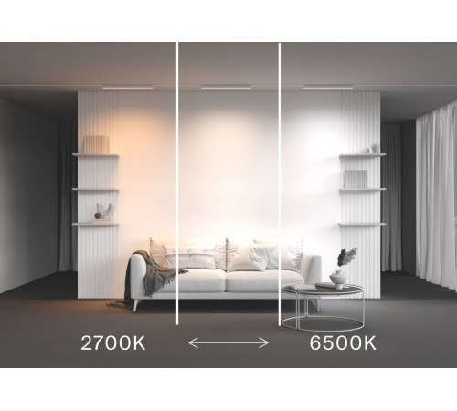 Трековый магнитный светильник Maytoni Technical Basis Radity TR080-4-20WTW-W