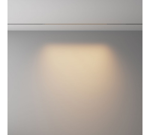 Трековый магнитный светильник Maytoni Technical Points Exility X TR241-4-12WTW-DSZ-B