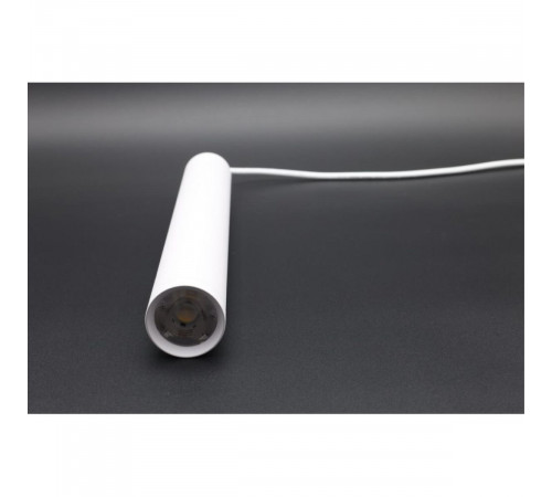 Трековый магнитный светильник Aployt Magnetic track 220 APL.0207.10.10