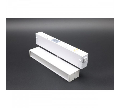 Трековый магнитный светильник Aployt Magnetic track 220 APL.0203.10.09