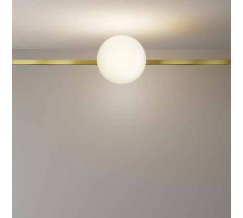 Трековый магнитный светильник Maytoni Technical Luna TR229-1-8W3K-BS