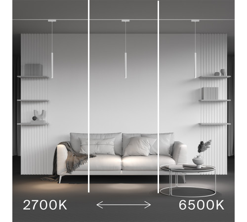 Трековый магнитный светильник Maytoni Technical Focus Led Radity TR257-4-7WTW-M-W