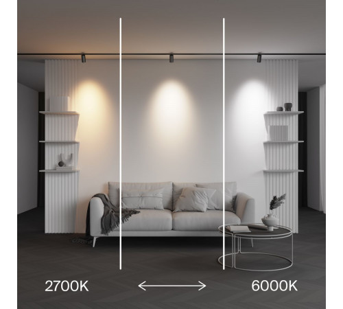 Трековый магнитный светильник Maytoni Technical Focus Led Exility X TR243-4-12WTW-DD2-B