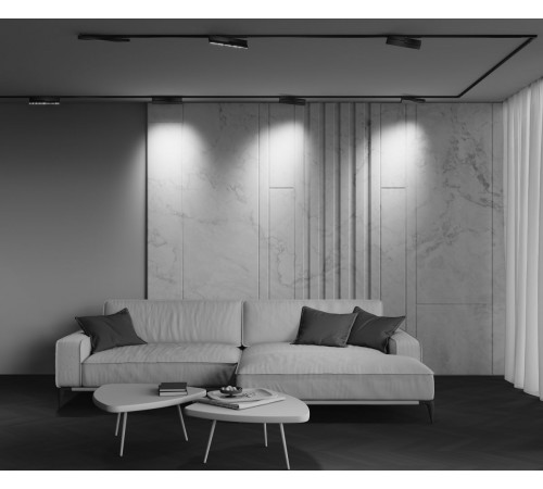 Трековый магнитный светильник Maytoni Technical Points Ro tExility X TR242-2-12W4K-B