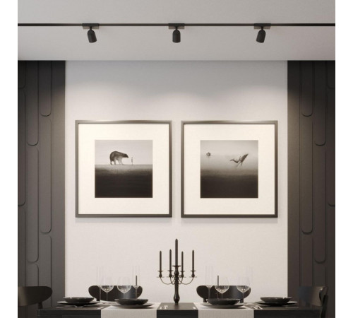 Трековый однофазный светильник Novotech Port Solette 359804