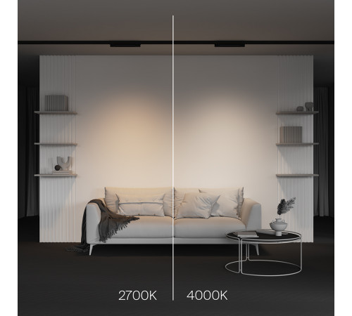 Трековый трехфазный светильник Maytoni Technical Basis TR196-3-10W2.7K-B(N)