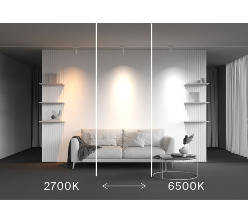 Трековый магнитный светильник Maytoni Technical Focus Led Radity TR103-4-12WTW-M-W