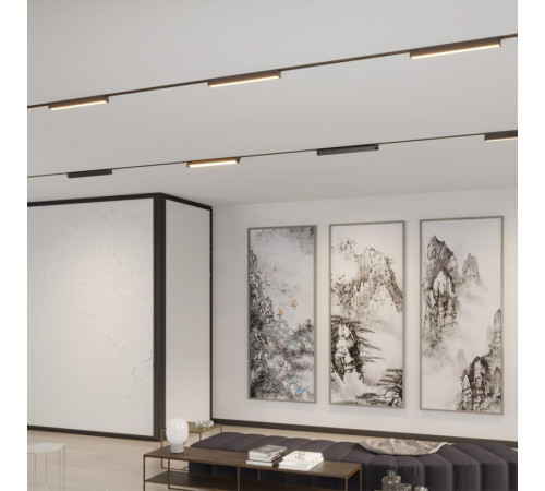 Трековый однофазный двухжильный светильник с переключателем цветовой температуры Novotech Port Iter 359792