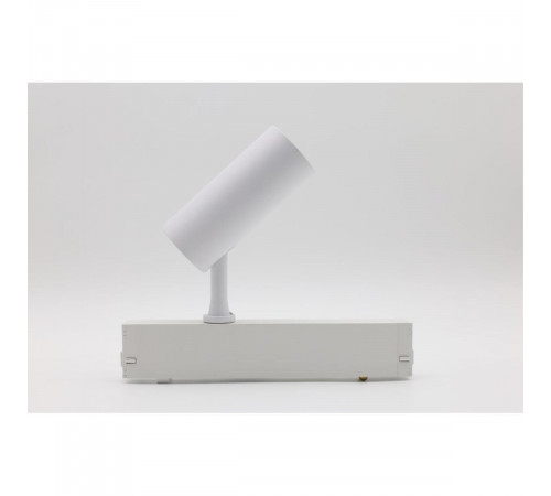 Трековый магнитный светильник Aployt Magnetic track 220 APL.0205.10.10