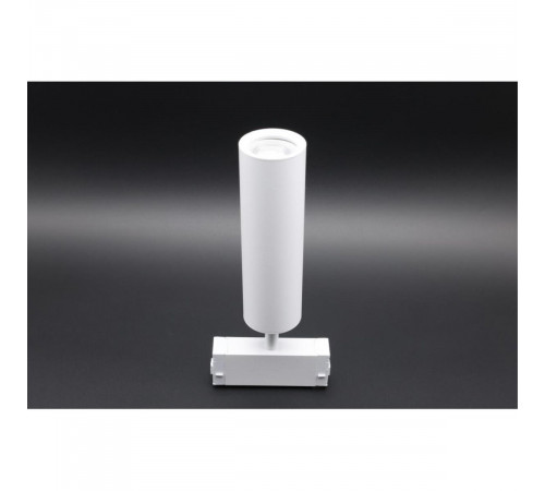 Трековый магнитный светильник Aployt Magnetic track 220 APL.0210.11.01