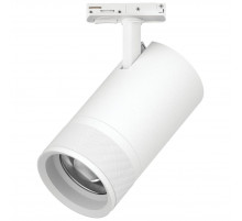 Трековый светильник для однофазного/трехфазного шинопровода Barra 20-55G с тонким адаптером Lightstar Canno Pro C4406SS