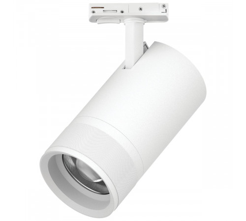 Трековый светильник для однофазного/трехфазного шинопровода Barra 20-55G с тонким адаптером Lightstar Canno Pro C4406SS