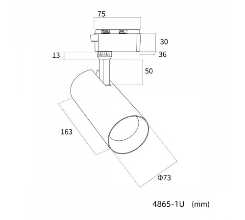 Трековый однофазный светильник Favourite Practica 4865-1U