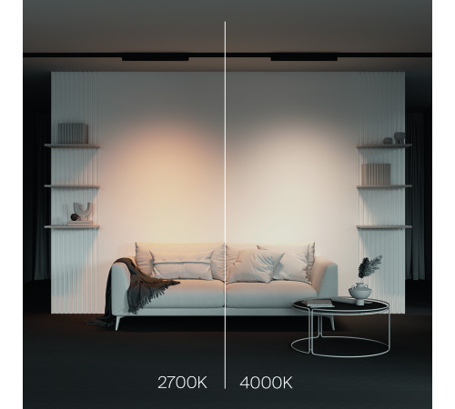 Трековый трехфазный светильник Maytoni Technical Basis TR196-3-20W2.7K-B(N)