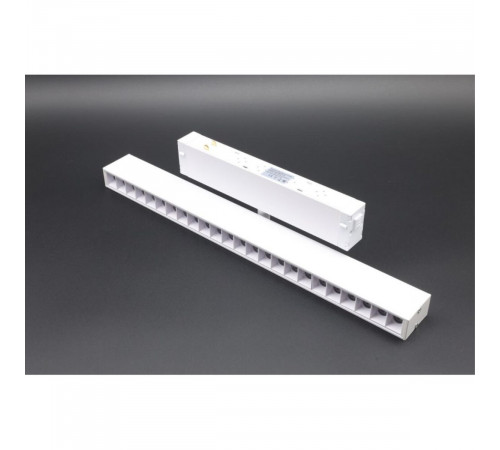 Трековый магнитный светильник Aployt Magnetic track 220 APL.0202.10.18