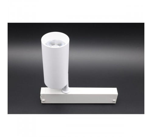 Трековый магнитный светильник Aployt Magnetic track 220 APL.0205.10.20