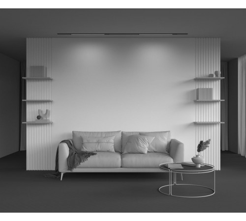 Трековый магнитный светильник Maytoni Technical Basis TR231-2-15W3K-B