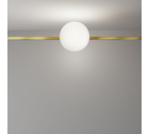 Трековый магнитный светильник Maytoni Technical Luna TR229-1-8W4K-BS