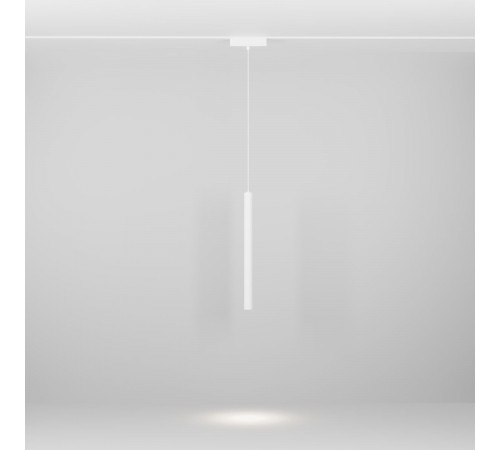 Трековый магнитный светильник Maytoni Technical Focus Led Radity TR257-4-7WTW-M-W