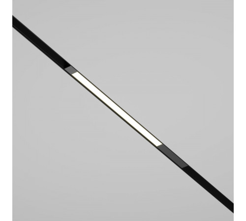 Трековый магнитный светильник Maytoni Technical Basis TR231-2-10W4K-B