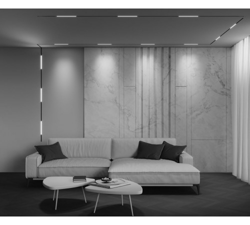 Трековый магнитный светильник Maytoni Technical Basis Exility X TR240-2-6W3K-B