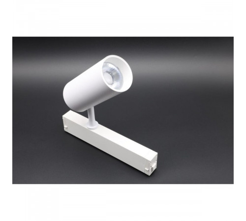 Трековый магнитный светильник Aployt Magnetic track 220 APL.0205.10.20