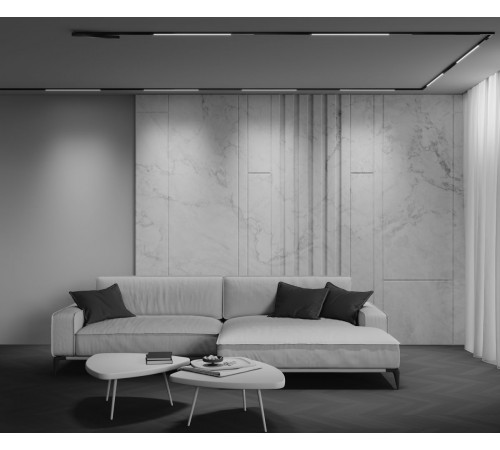 Трековый магнитный светильник Maytoni Technical Basis Exility X TR240-4-12WTW-DD2-B