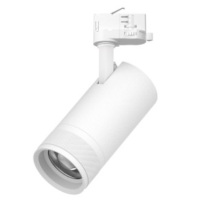 Трековый трехфазный светильник Quattro 20-55G с адаптером Lightstar Canno Pro C4306QT