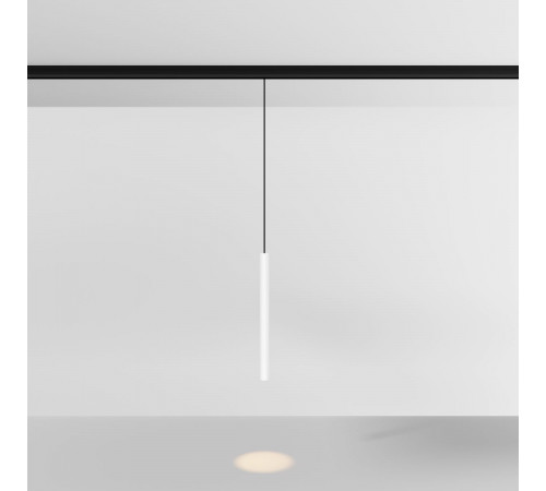Трековый магнитный светильник Maytoni FOCUS LED TR226-4-5WTW-M-DD2-W