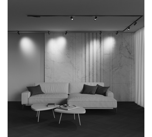 Трековый магнитный светильник Maytoni Technical Focus Led Exility X TR243-4-12WTW-DD2-B