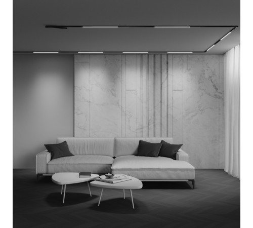 Трековый магнитный светильник Maytoni Technical Basis Exility X TR240-4-12WTW-DSZ-B