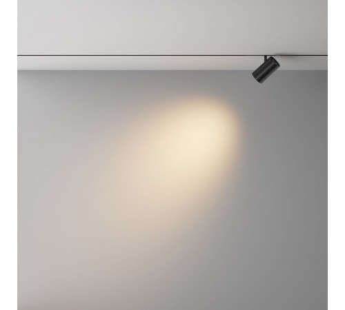 Трековый магнитный светильник Maytoni Technical Focus Led Exility X TR243-4-12WTW-DSZ-B