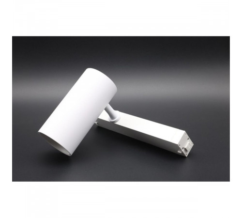 Трековый магнитный светильник Aployt Magnetic track 220 APL.0205.10.20