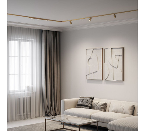 Трековый магнитный светильник Elektrostandard 85525/01 4690389218729 a071846