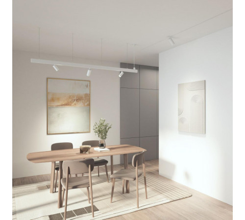 Трековый однофазный светильник Denkirs Simple Spot DK8220-WH