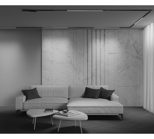 Трековый магнитный светильник Maytoni Technical Basis Exility X TR240-4-18WTW-DSZ-B