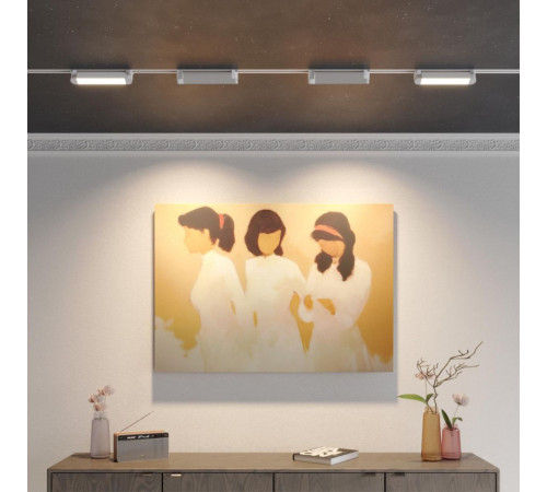 Трековый однофазный двухжильный светильник с переключателем цветовой температуры Novotech Port Iter 359793