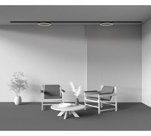Трековый магнитный светильник Maytoni Rim TR227-2-24W4K-B
