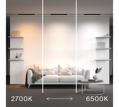 Трековый магнитный светильник Maytoni Technical Basis Radity TR080-4-20WTW-B