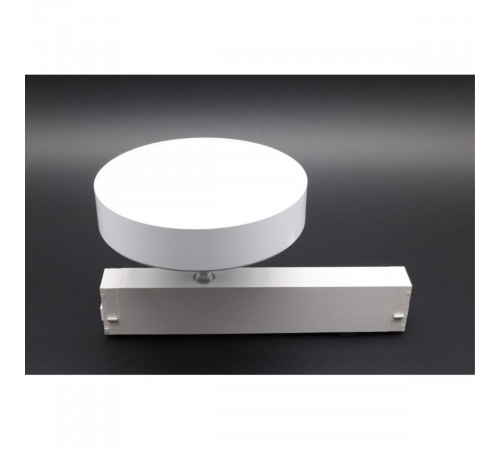 Трековый магнитный светильник Aployt Magnetic track 220 APL.0213.10.24