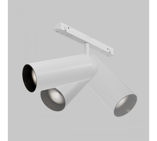 Трековый магнитный светильник Maytoni Focus LED TR032-4-20WTW-M-DSZ-W