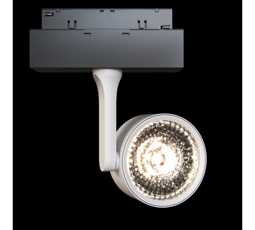 Трековый светильник Maytoni Oko TR024-2-10W3K
