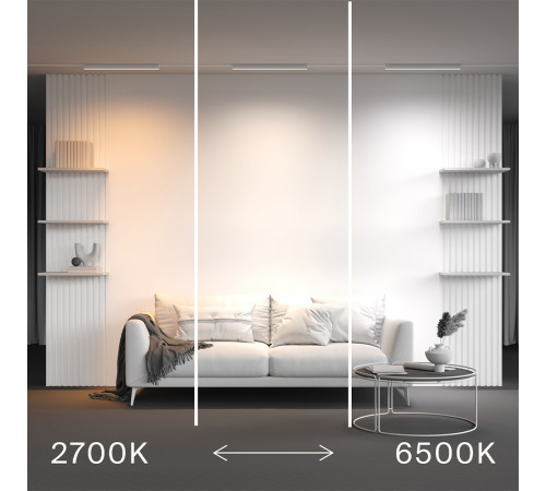 Трековый магнитный светильник Maytoni Technical Basis Radity TR080-4-20WTW-W