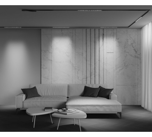 Трековый магнитный светильник Maytoni Technical Points Exility X TR241-2-12W4K-B