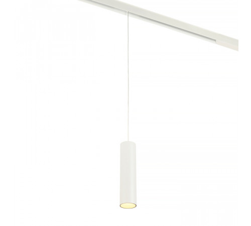 Трековый магнитный светильник Myfar Ray MT0221-20W3K-S-W