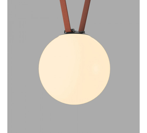 Трековый однофазный светильник Denkirs Belty Orb DK5555-BK Трековый однофазный светильник Denkirs Belty Orb DK5555-BK