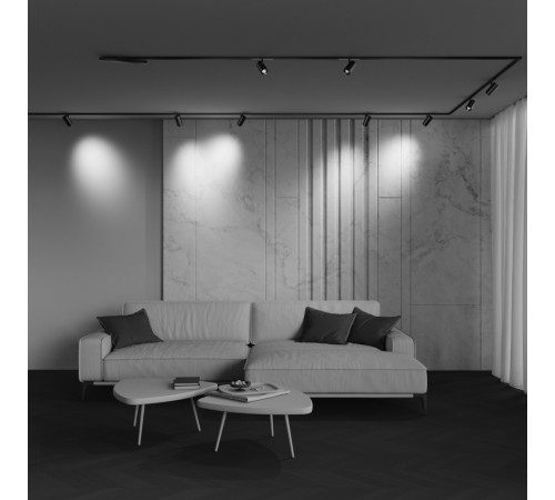 Трековый магнитный светильник Maytoni Technical Focus Zoom Exility X TR244-12W4K-B