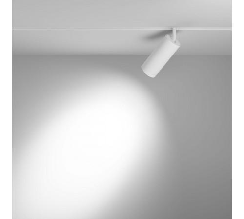 Трековый магнитный светильник Maytoni Focus LED TR032-4-20WTW-M-DSZ-W